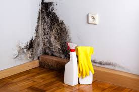  Tolono, IL Mold Removal Services Pros